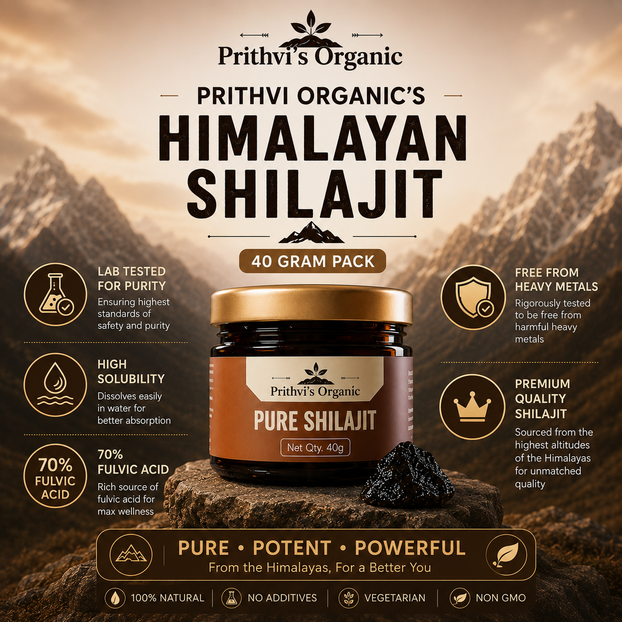Shilajit Resin 40 gm
