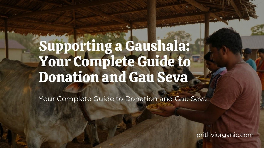 Supporting a Gaushala: Your Complete Guide to Donation and Gau Seva