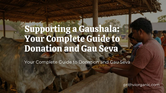 Supporting a Gaushala: Your Complete Guide to Donation and Gau Seva