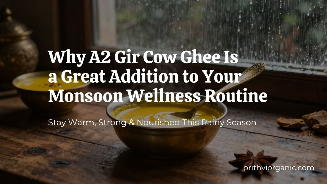 Discover why traditional A2 Gir Cow Ghee is a popular monsoon staple. Learn how Bilona Ghee supports digestion, everyday wellness, and seasonal cooking with timeless Ayurvedic wisdom.