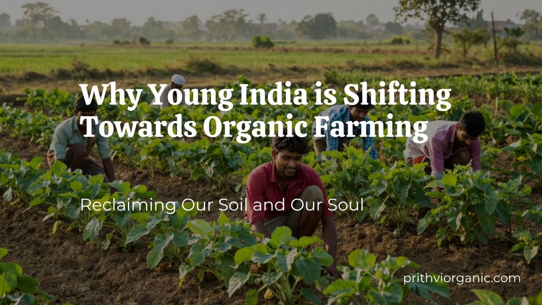 Why Young India is Shifting Towards Organic Farming: Reclaiming Our Soil and Our Soul