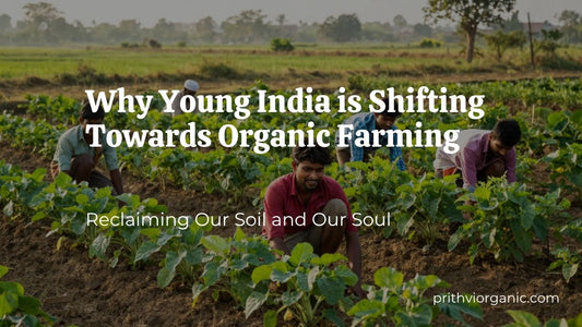 Why Young India is Shifting Towards Organic Farming: Reclaiming Our Soil and Our Soul