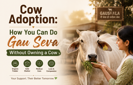 Cow Adoption: How You Can Do Gau Seva Without Owning a Cow