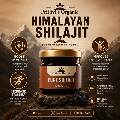 Pure Himalayan Shilajit Resin (20g) | 100% Authentic & Lab-Tested – Prithvi Organic