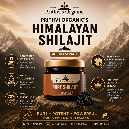 Shilajit Resin 40 gm